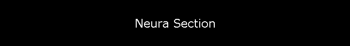 Neura Section